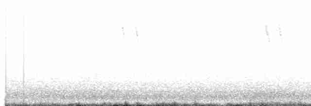 Buztanikara horia - ML618876364
