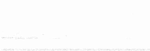Дрізд-короткодзьоб Cвенсона - ML618877001