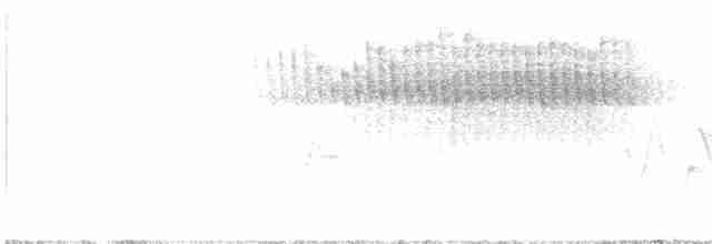 Paruline vermivore - ML618877520