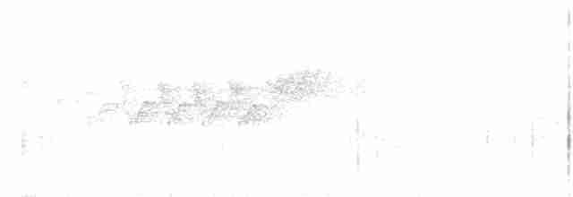 Cerulean Warbler - ML618878102