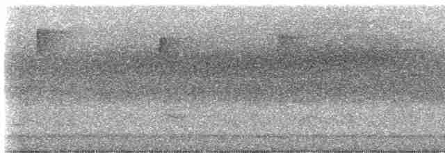 Трясогузковый певун - ML618878823