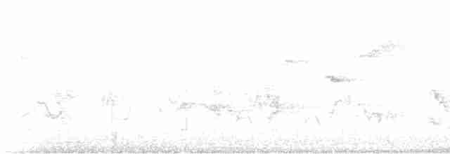 Ak Tepeli Baştankara - ML618879350