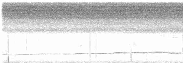 Зозуля білогорла - ML618879703