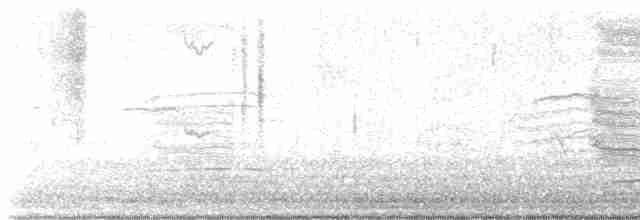 Loggerhead Shrike - ML618880654