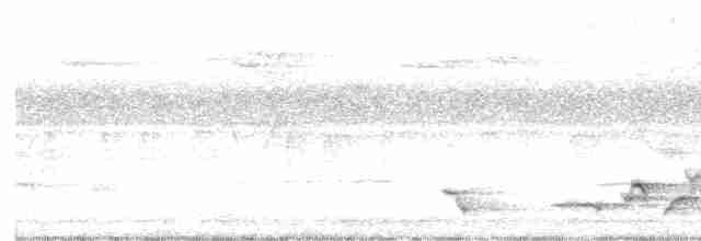 Beyaz Belli Şama - ML618881252