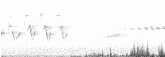 Prairie Warbler - ML618881709