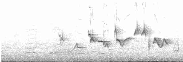 Oriole des vergers - ML618882013