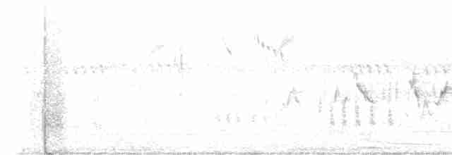 hvitbryntrosteskvett - ML618882208