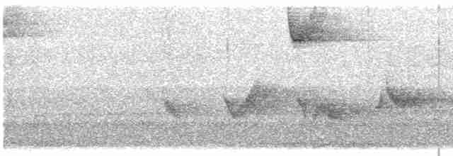Чернокрылая пиранга - ML618882913