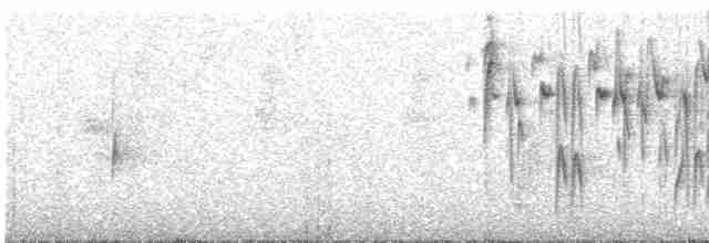 Black-throated Flowerpiercer - ML618882935
