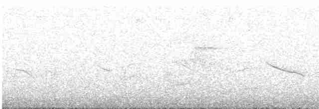 Вівсянчик сіроволий - ML618882970