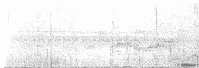 Чернокрылая пиранга - ML618884884