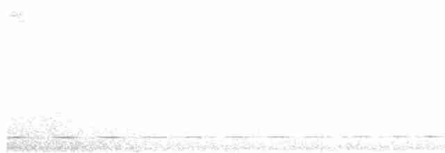 Streifenbrust-Ameisendrossel - ML618886355