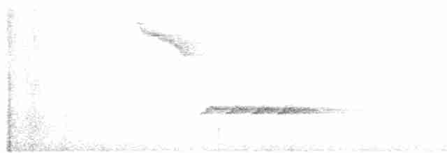 Белогрудый крапивник - ML618887366