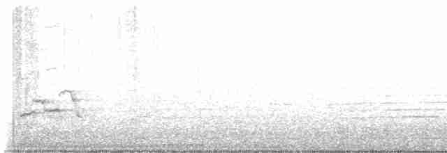 Rotmanteldrossel (rufopalliatus) - ML618888128