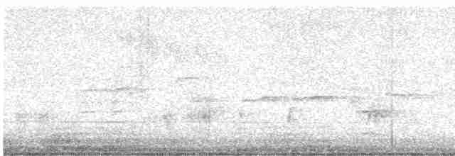 Great Reed Warbler - ML618888588