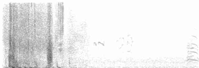 Antillenseeschwalbe - ML618889218