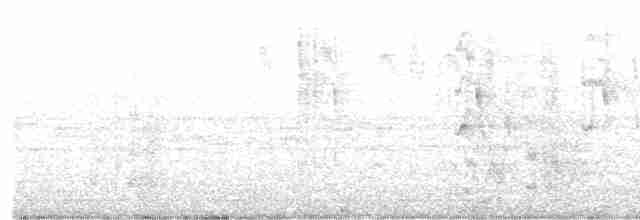 ハネアシユビアナツバメ - ML618889878
