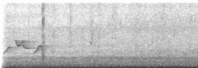 Поплітник плямистий - ML618889921