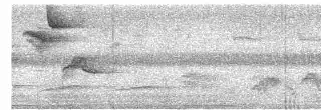 Turuncu Gagalı Bülbül Ardıcı - ML618889934