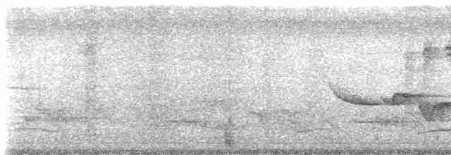 Spot-breasted Wren - ML618889977