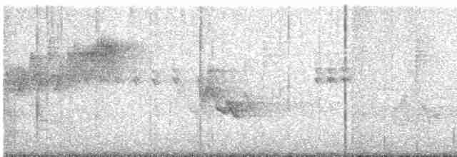 Cerulean Warbler - ML618890401