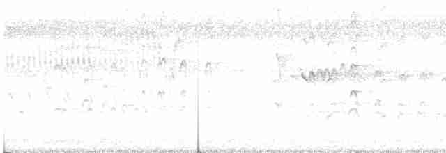 Kara Karınlı Islıkçı Ördek - ML618890568