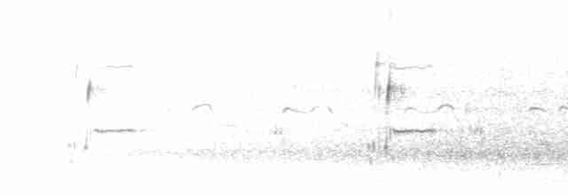 Loggerhead Shrike - ML618891020