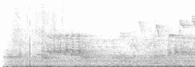 Common Cuckoo - ML618891404