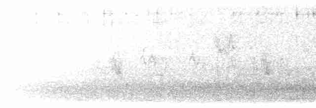 Oriole des vergers (spurius) - ML618891824