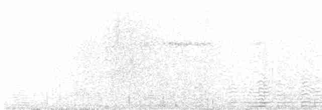 Широкохвостый колибри - ML618892404