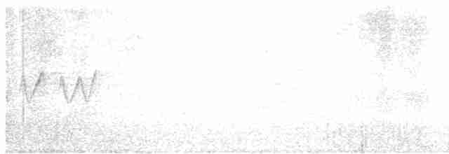Желтогорлая древесница - ML618892515