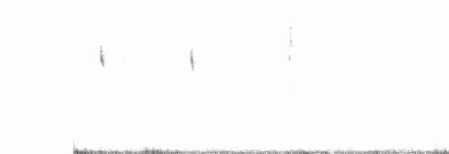 Graubrustcanastero - ML618893054