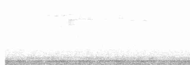 Graukappen-Ameisenpitta - ML618893403