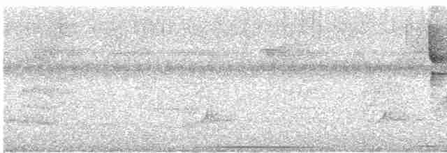 Turuncu Gagalı Bülbül Ardıcı - ML618893675