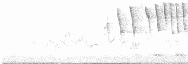 Tennessee Warbler - ML618895219
