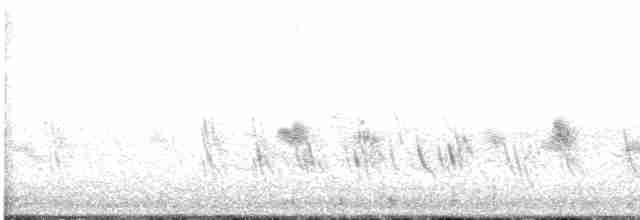 Büyük Mor Kırlangıç - ML618895359