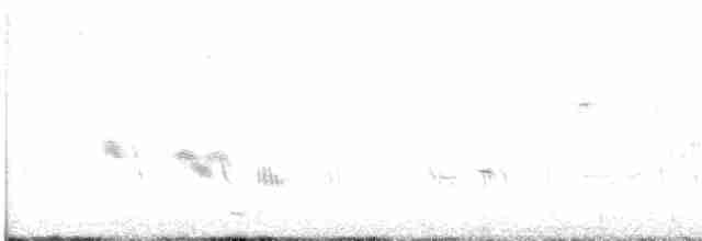 Büyük Mor Kırlangıç - ML618895361