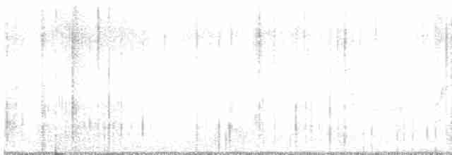 Common Yellowthroat - ML618895676