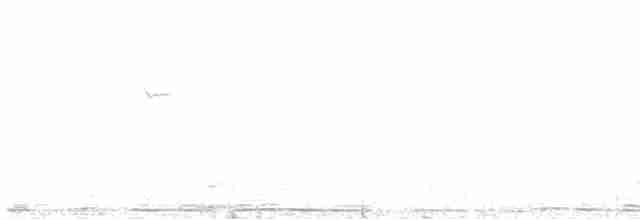 Saltarrocas del Drakensberg - ML618896644
