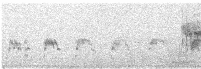 Saltarrocas del Drakensberg - ML618896653