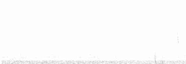 Saltarrocas del Drakensberg - ML618896682