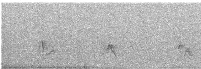 Gray Vireo - ML618897011