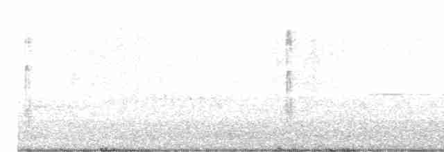 Great Spotted Woodpecker - ML618897066