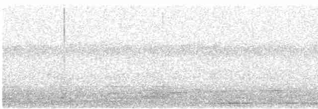 svartryggvarsler (collaris gr.) - ML618897167