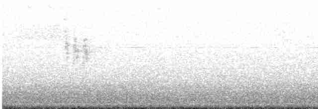 White Wagtail - ML618898224