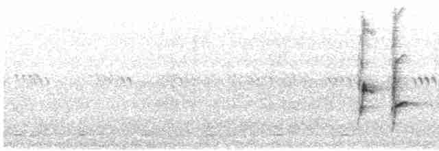Kara Karınlı Sığırcık - ML618899160