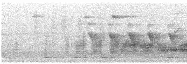 Barbican oreillard (leucotis/kilimensis) - ML618899493