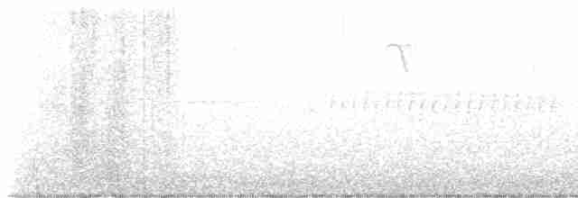 lesňáček modrohřbetý - ML618899824