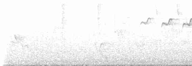 lesňáček modrohřbetý - ML618899825